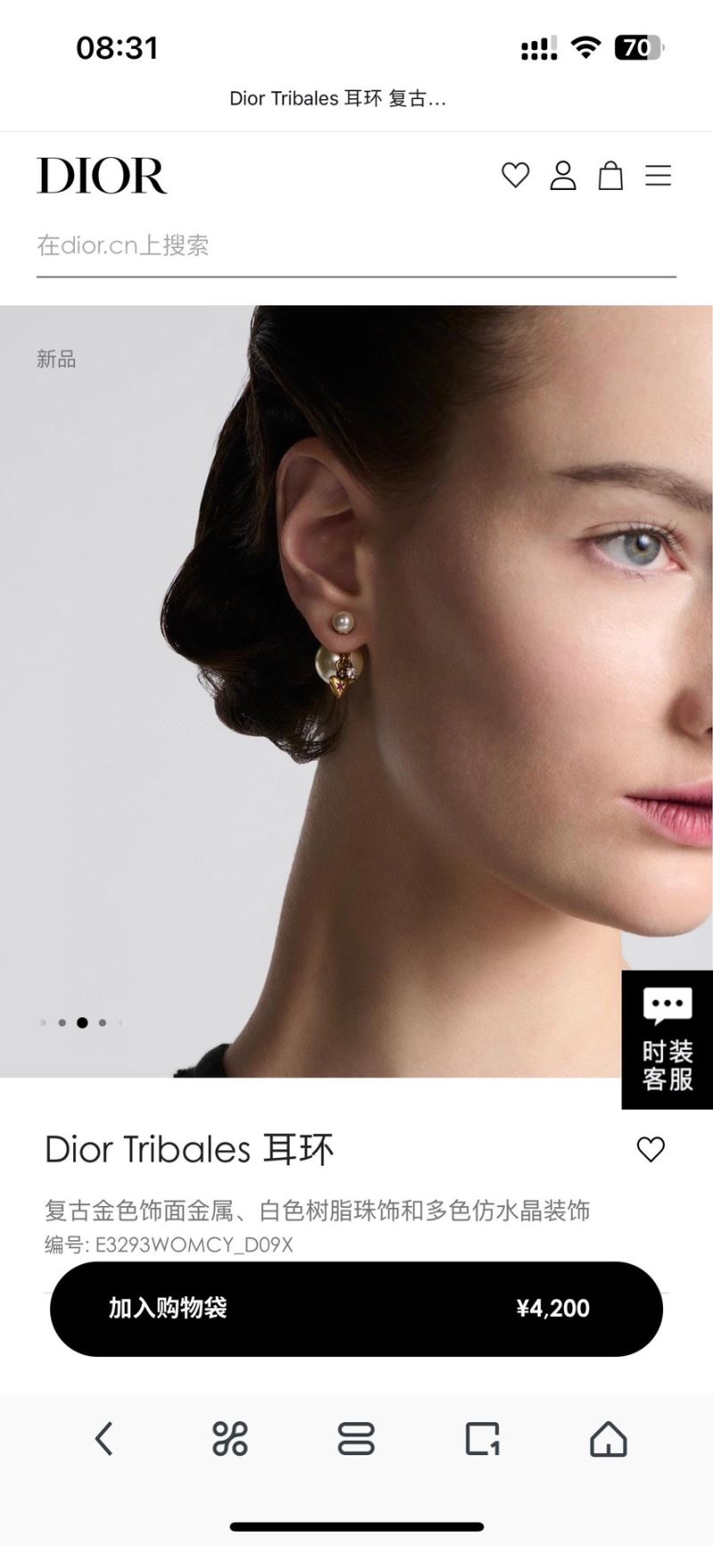 Christian Dior Earrings